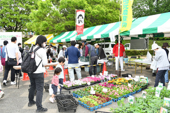 写真：ポット苗を販売している会場の様子