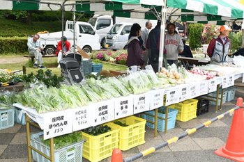 写真：座間産野菜を販売している様子