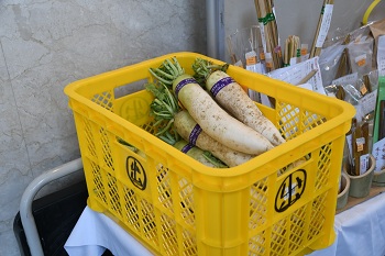 写真:販売商品(大根)