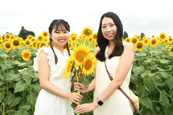 写真：座間会場のヒマワリ畑を背景に、来場者が切り花を真ん中に持っている様子