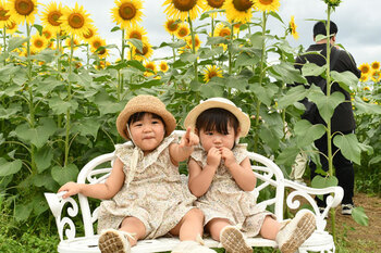 写真：座間会場のヒマワリを背景に、麦わら帽子を被った子ども2人がベンチに座っている様子